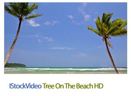 IStockVideo Tree On The Beach HD