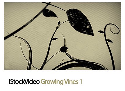 IStockVideo Growing Vines 01