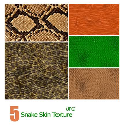 Snake Skin Texture