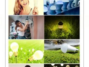 Stock Image Light Bulb And Nature