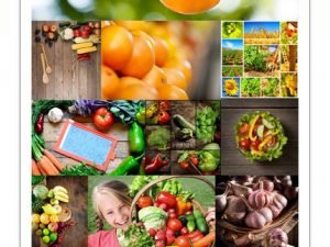 Stock Photo Organic Food Concept