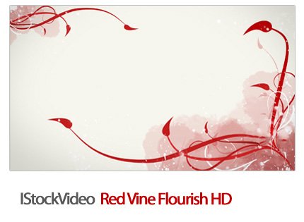 StockVideo Red Vine Flourish HD