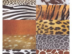 CreativeMarket Fur Feathers Scales And Skins Bundle