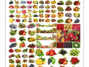 Fruit And Vegetables On White Background