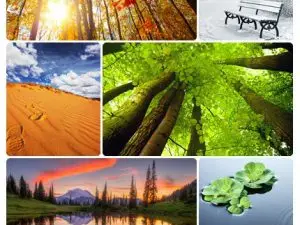 ShutterStock 06.13 Collection Nature