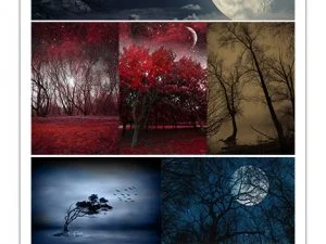 Stock Images Mystical Spring Night