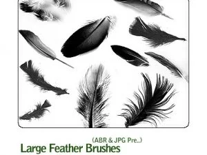 Large Feather Brushes