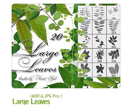 Large Leaves