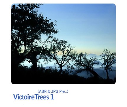 Victoire Trees 01