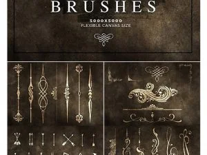 CM 39 Photoshop Brushes