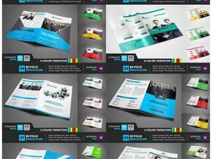 CM Bi-Fold Brochure Biggest Bundle