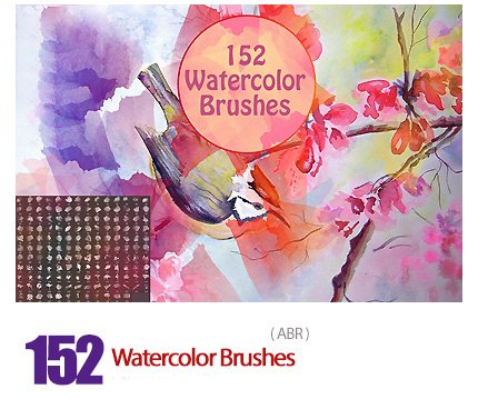 Creativemarket 152 Watercolor Brushes