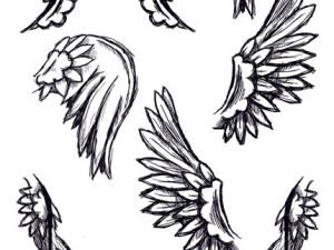 Feather Wing Brushes