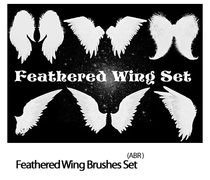 Feathered Wing Set