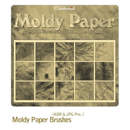Moldy Paper Brushes