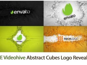 Abstract Cubes Logo Reveals