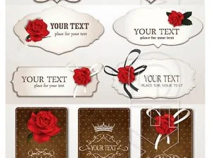Elegant Cards With Bows And Ribbons