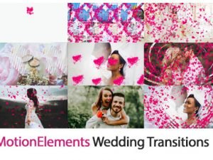 MotionElements Wedding Transitions