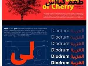 Diodrum Arabic Font Family