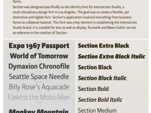 Section Font Family