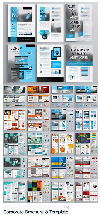 Corporate Brochure And Template