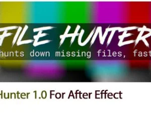 File Hunter 1.0 For After Effect