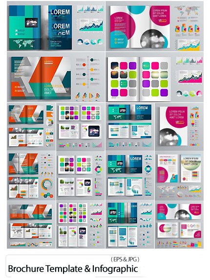 Brochure Template Design And Business Infographic Vector