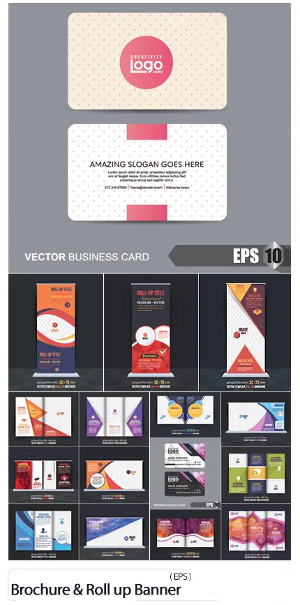 Business Bi-Fold Tri-Fold Brochure Design and Rollup Banner Vector