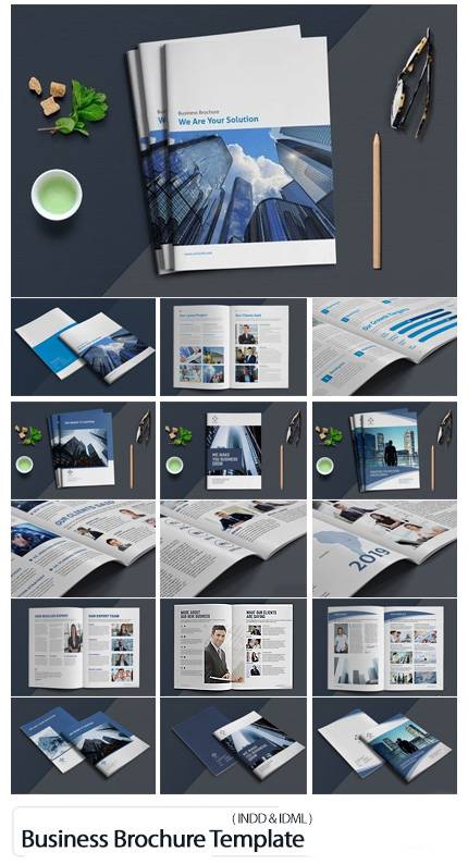 Business Brochure Template Indesign Templates