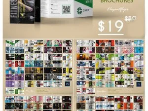 CM 100 Tri-fold Brochures Bundle