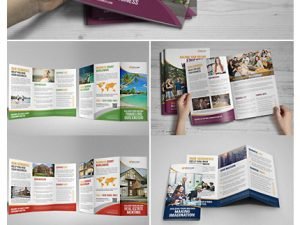 CM Multipurpose Bifold Trifold Brochure