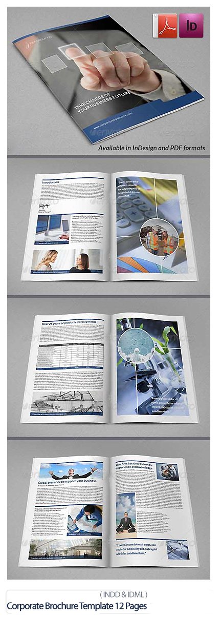 Corporate Brochure Template 12 Pages