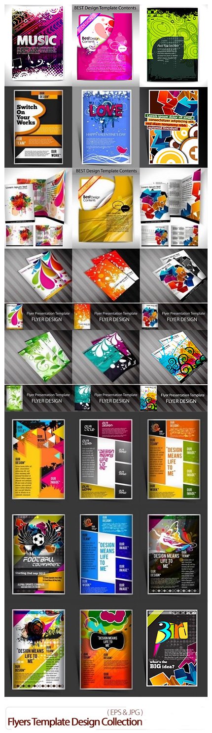 Flyers Template Design Collection 47