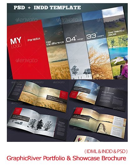 GraphicRiver Portfolio Showcase Brochure