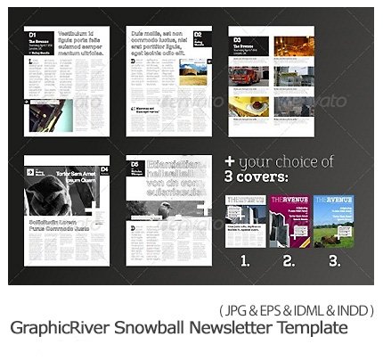GraphicRiver Snowball Newsletter Template