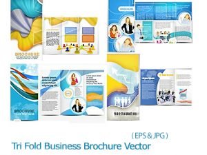 Tri Fold Business Brochure Vector