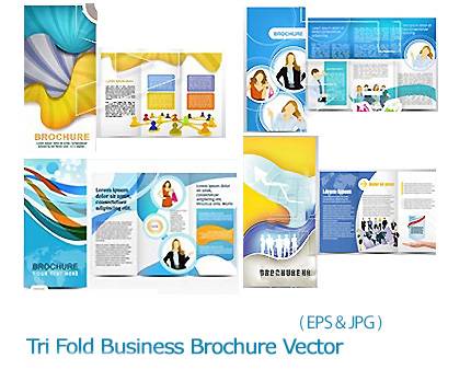Tri Fold Business Brochure Vector