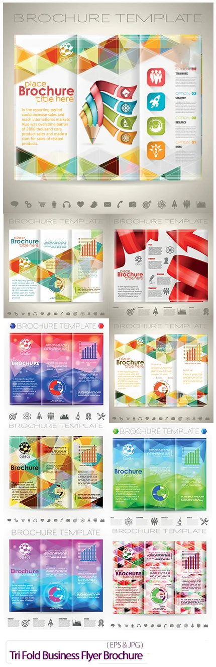 Tri Fold Business Flyer Brochure Vector
