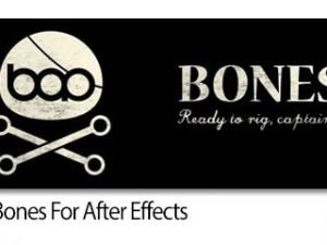 BAO Bones v1.5.8