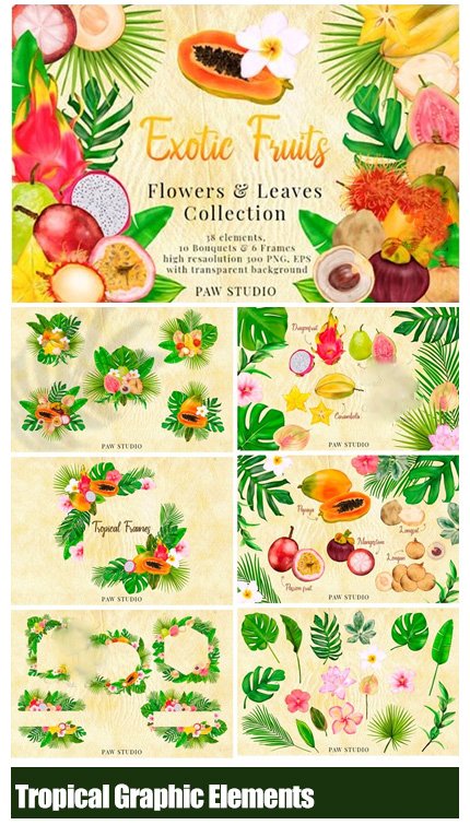 Tropical Graphic Elements