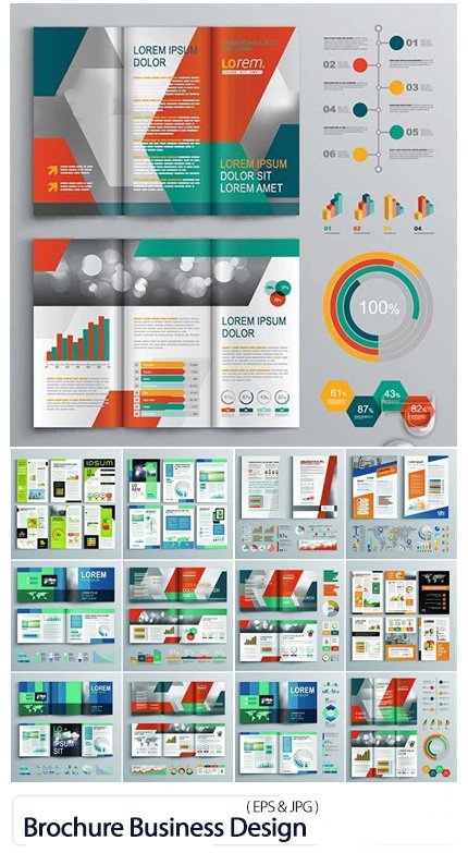 Vector Brochure Template Business Design