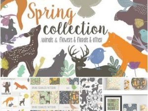 Spring illustrations and patterns collection