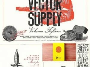 Unember Vector Supply Volume