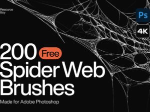 200 Spider Web Brushes For Photoshop