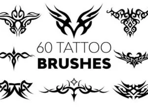 60 Tattoo Brushes